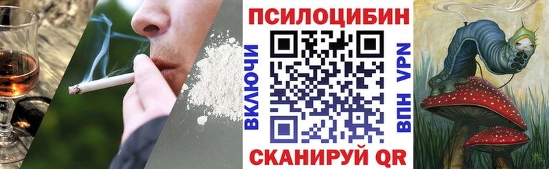 Галлюциногенные грибы Psilocybe  где найти   Калач 